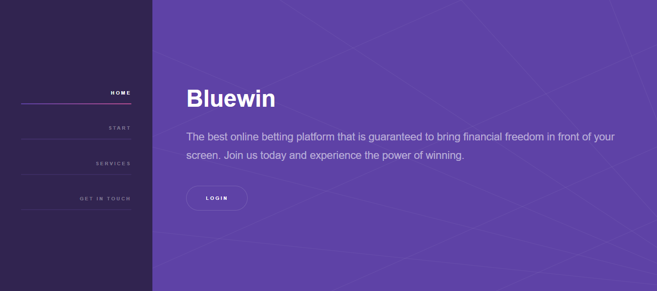 Bluewin website